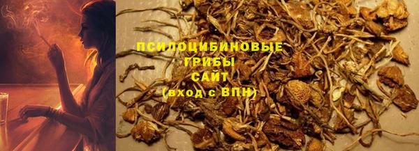 сатива Алзамай