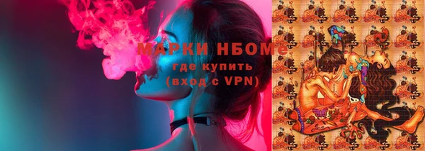 гашик Алексеевка