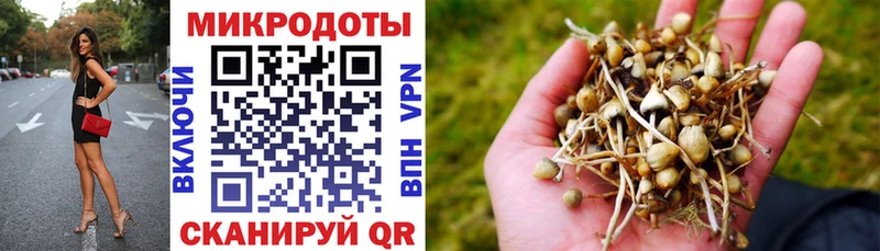 Псилоцибиновые грибы MAGIC MUSHROOMS  купить наркотик  blacksprut зеркало  Яровое 